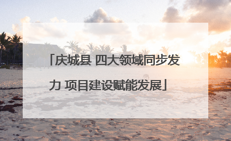 庆城县 四大领域同步发力 项目建设赋能发展