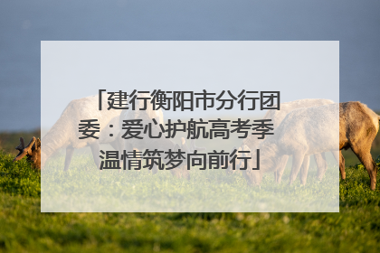 建行衡阳市分行团委：爱心护航高考季 温情筑梦向前行
