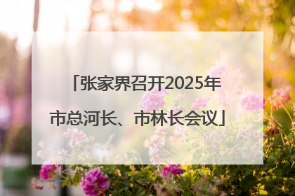 张家界召开2025年市总河长、市林长会议
