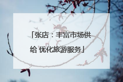 张店：丰富市场供给 优化旅游服务