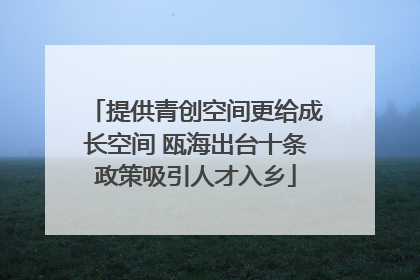 提供青创空间更给成长空间 瓯海出台十条政策吸引人才入乡