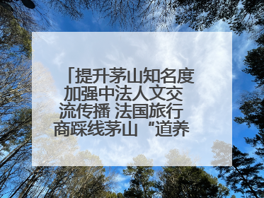 提升茅山知名度 加强中法人文交流传播 法国旅行商踩线茅山“道养文化产品”