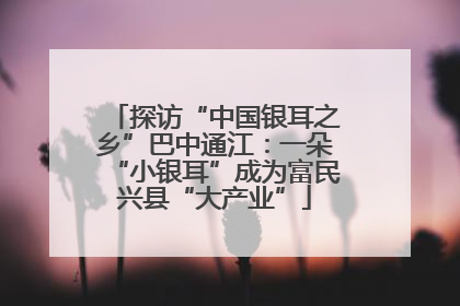 探访“中国银耳之乡”巴中通江：一朵“小银耳”成为富民兴县“大产业”