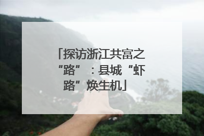 探访浙江共富之“路”：县城“虾路”焕生机