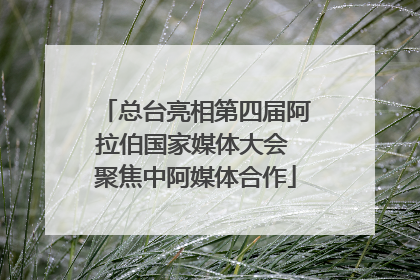 总台亮相第四届阿拉伯国家媒体大会 聚焦中阿媒体合作