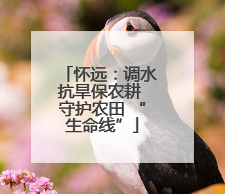 怀远：调水抗旱保农耕 守护农田 “生命线”
