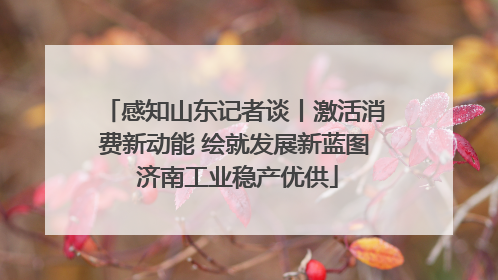 感知山东记者谈丨激活消费新动能 绘就发展新蓝图 济南工业稳产优供
