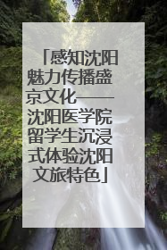 感知沈阳魅力传播盛京文化——沈阳医学院留学生沉浸式体验沈阳文旅特色