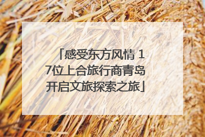 感受东方风情 17位上合旅行商青岛开启文旅探索之旅