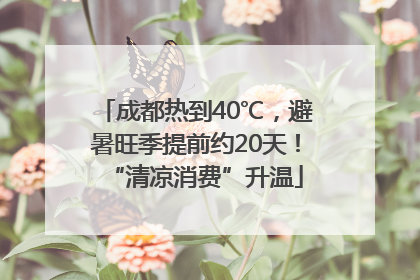 成都热到40℃，避暑旺季提前约20天！“清凉消费”升温