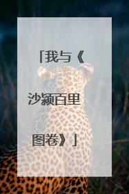 我与《沙颍百里图卷》