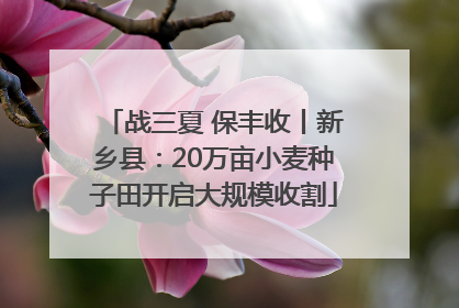 战三夏 保丰收丨新乡县：20万亩小麦种子田开启大规模收割