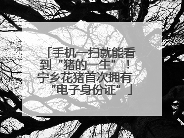 手机一扫就能看到“猪的一生”！宁乡花猪首次拥有“电子身份证”