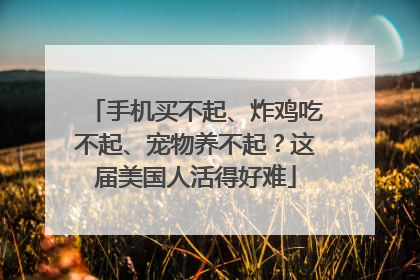手机买不起、炸鸡吃不起、宠物养不起？这届美国人活得好难
