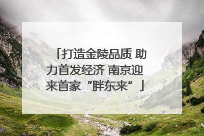 打造金陵品质 助力首发经济 南京迎来首家“胖东来”