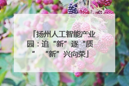 扬州人工智能产业园：追“新”逐“质” “新”兴向荣