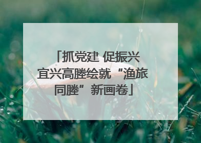 抓党建 促振兴 宜兴高塍绘就“渔旅同塍”新画卷