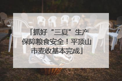 抓好“三夏”生产 保障粮食安全！平顶山市麦收基本完成