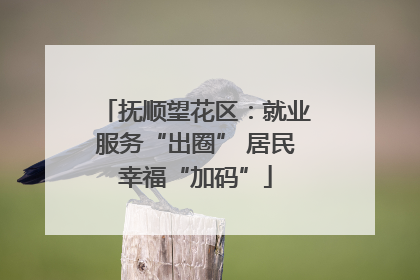 抚顺望花区：就业服务“出圈” 居民幸福“加码”