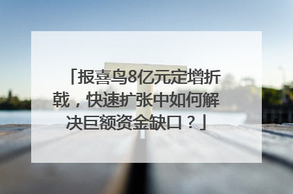 报喜鸟8亿元定增折戟，快速扩张中如何解决巨额资金缺口？