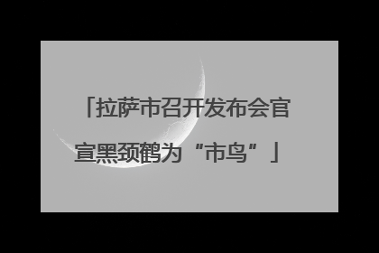 拉萨市召开发布会官宣黑颈鹤为“市鸟”