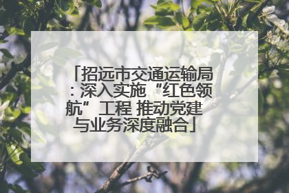 招远市交通运输局：深入实施“红色领航”工程 推动党建与业务深度融合