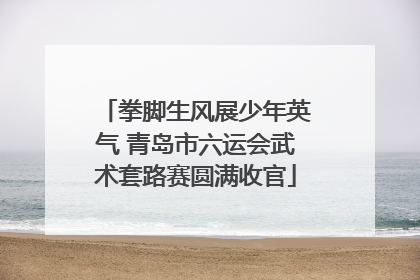 拳脚生风展少年英气 青岛市六运会武术套路赛圆满收官