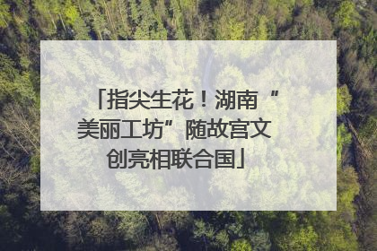 指尖生花！湖南“美丽工坊”随故宫文创亮相联合国