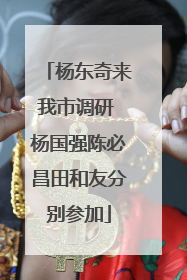 杨东奇来我市调研 杨国强陈必昌田和友分别参加