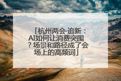 杭州两会·追新：AI如何让消费突围？场景和路径成了会场上的高频词