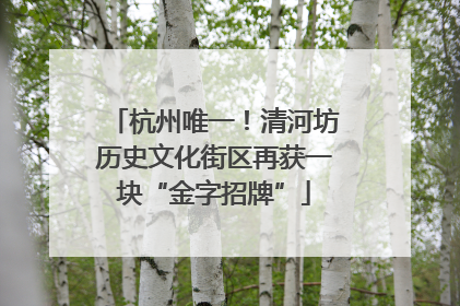杭州唯一！清河坊历史文化街区再获一块“金字招牌”