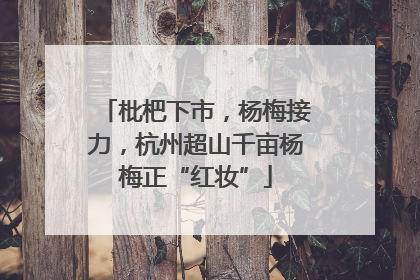 枇杷下市，杨梅接力，杭州超山千亩杨梅正“红妆”