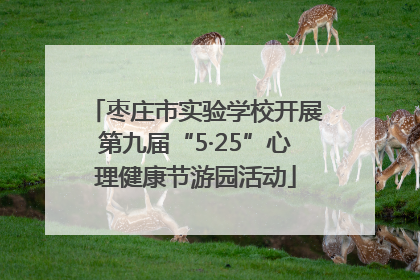 枣庄市实验学校开展第九届“5·25”心理健康节游园活动