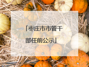枣庄市市管干部任前公示