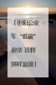 枣阳公交车“低碳”迎亲 诠释别样浪漫