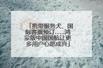 携带服务犬、国际客票预订……鸿蒙版中国国航让更多用户心愿成真