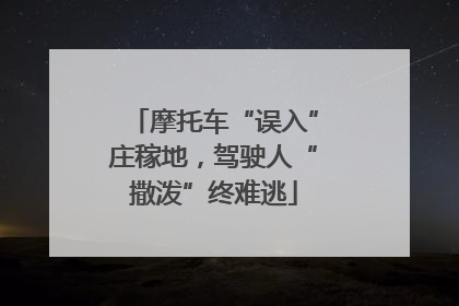 摩托车“误入”庄稼地，驾驶人“撒泼”终难逃