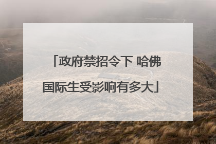 政府禁招令下 哈佛国际生受影响有多大