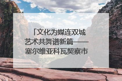 文化为媒连双城 艺术共舞谱新篇——塞尔维亚科瓦契察市代表团访问日照