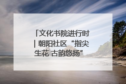 文化书院进行时｜朝阳社区“指尖生花 古韵悠扬”公益课堂开课了