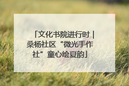 文化书院进行时｜桑杨社区“微光手作社”童心绘夏韵