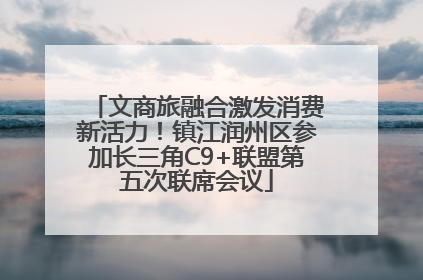 文商旅融合激发消费新活力！镇江润州区参加长三角C9+联盟第五次联席会议