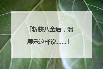斩获八金后，潘展乐这样说……