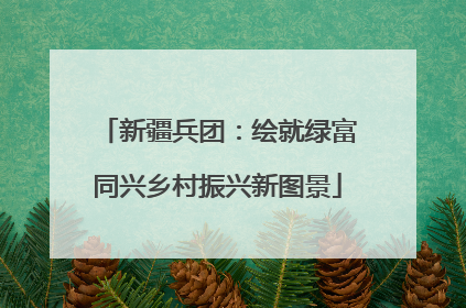 新疆兵团：绘就绿富同兴乡村振兴新图景