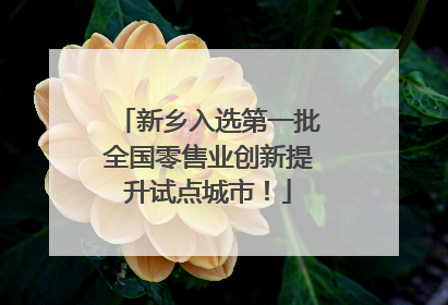 新乡入选第一批全国零售业创新提升试点城市！