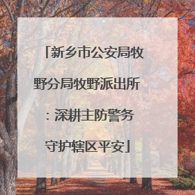 新乡市公安局牧野分局牧野派出所：深耕主防警务 守护辖区平安