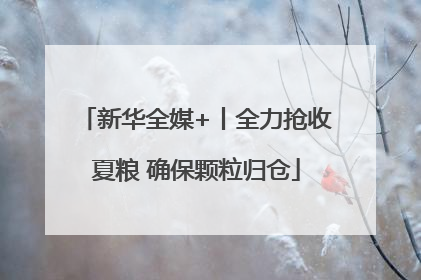 新华全媒+丨全力抢收夏粮 确保颗粒归仓