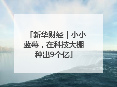 新华财经｜小小蓝莓，在科技大棚种出9个亿