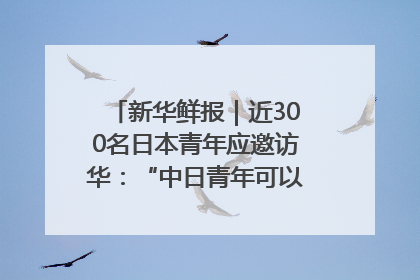 新华鲜报｜近300名日本青年应邀访华：“中日青年可以创造更好的未来”