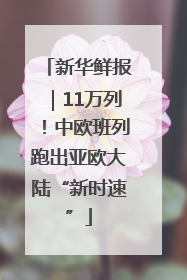 新华鲜报｜11万列！中欧班列跑出亚欧大陆“新时速”